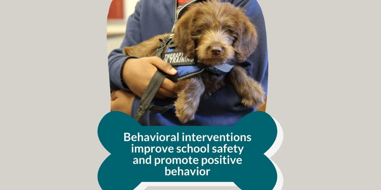 Behavioral interventions improve school safety and promote positive behavior