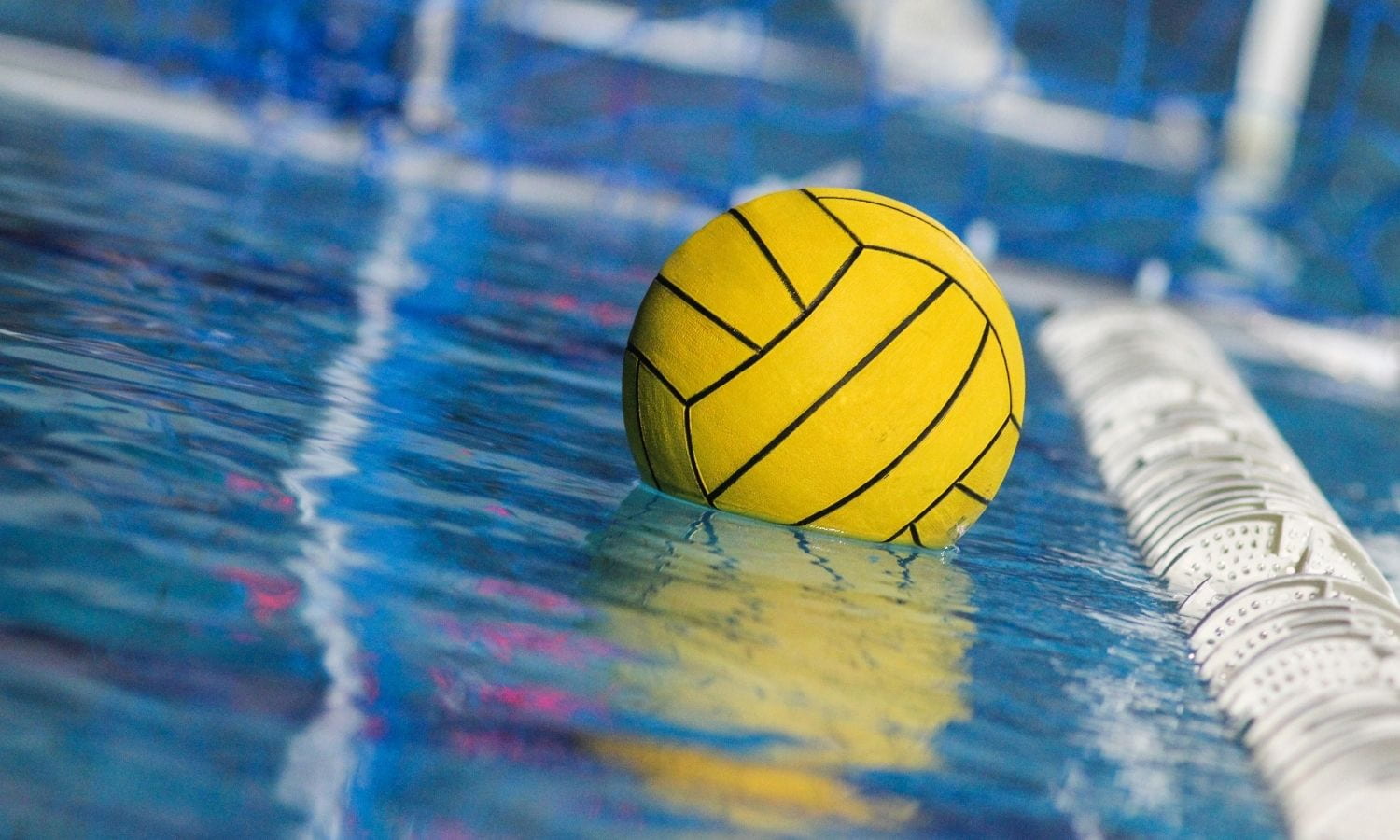 Round Rock ISD adds Water Polo as sport for 2022-2023 school year - Round Rock ISD News