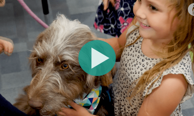 Behavioral Therapy Dogs providing support to students and staff