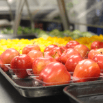 Round Rock ISD serves up no-cost healthy summer meals for local children